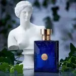 عطر ادکلن ورساچه دیلان بلو-آبی | Versace Dylan Blue
