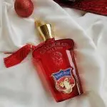 عطر ادکلن کازاموراتی زرجوف بوکت (Casamorati Xerjoff Bouquet Ideale)
