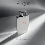 عطر ادکلن لالیک سفید-لالیک وایت | Lalique White
