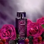 عطر لالیک آمیتیس بنفش Lalique Amethyst
