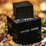 عطر ادکلن لالیک مشکی انکر نویر مردانه ادو تویلت | Lalique Encre Noire