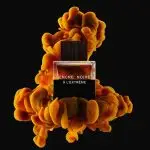 عطر ادکلن لالیک انکر نویر ای ال اکستریم | lalique Encre Noire A L Extreme